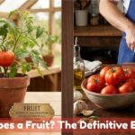 Are Tomatoes a Fruit The Definitive Explanation